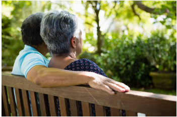 Solitaire Kothrud Pune Garden